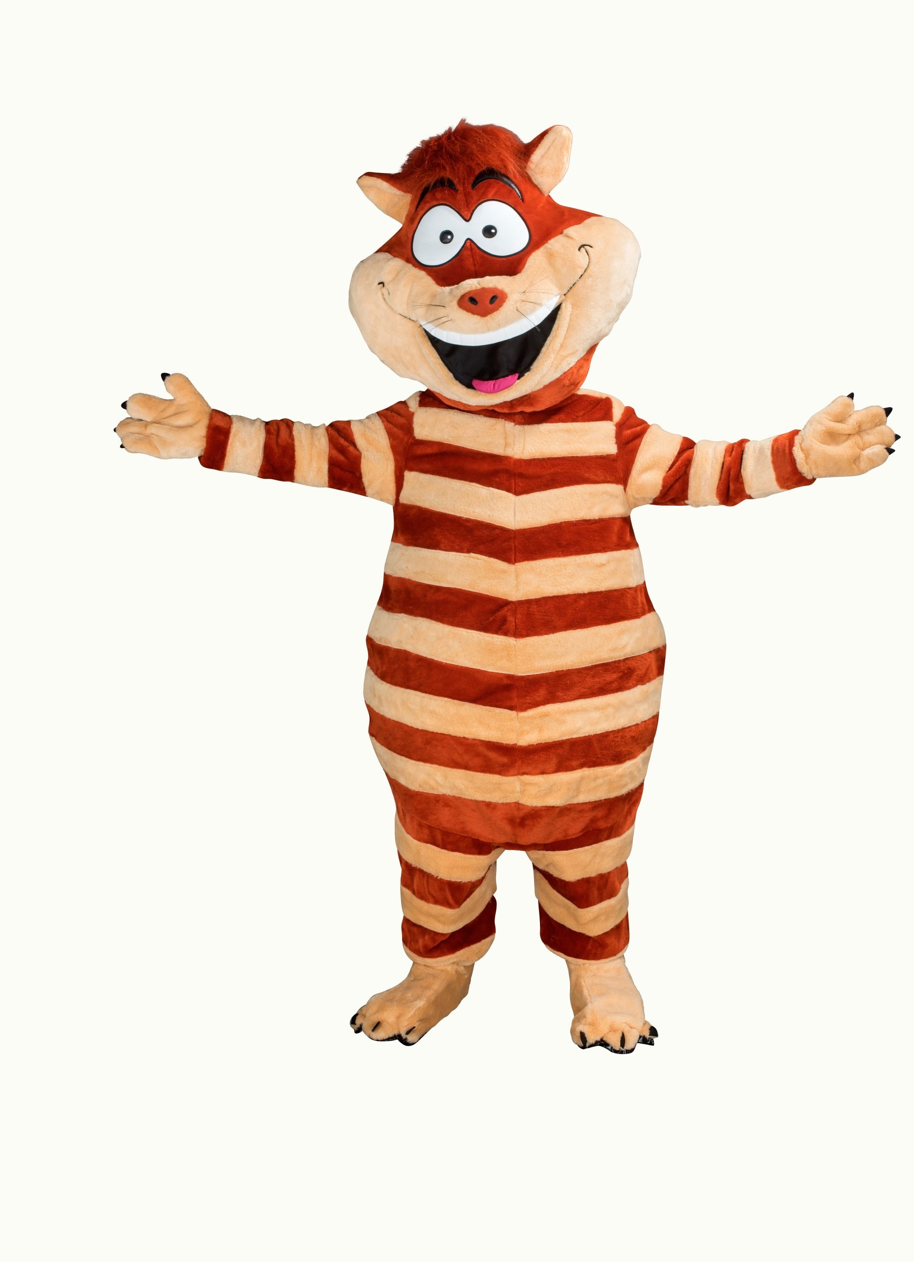 Kattenpak - Dinah de Streepjeskat