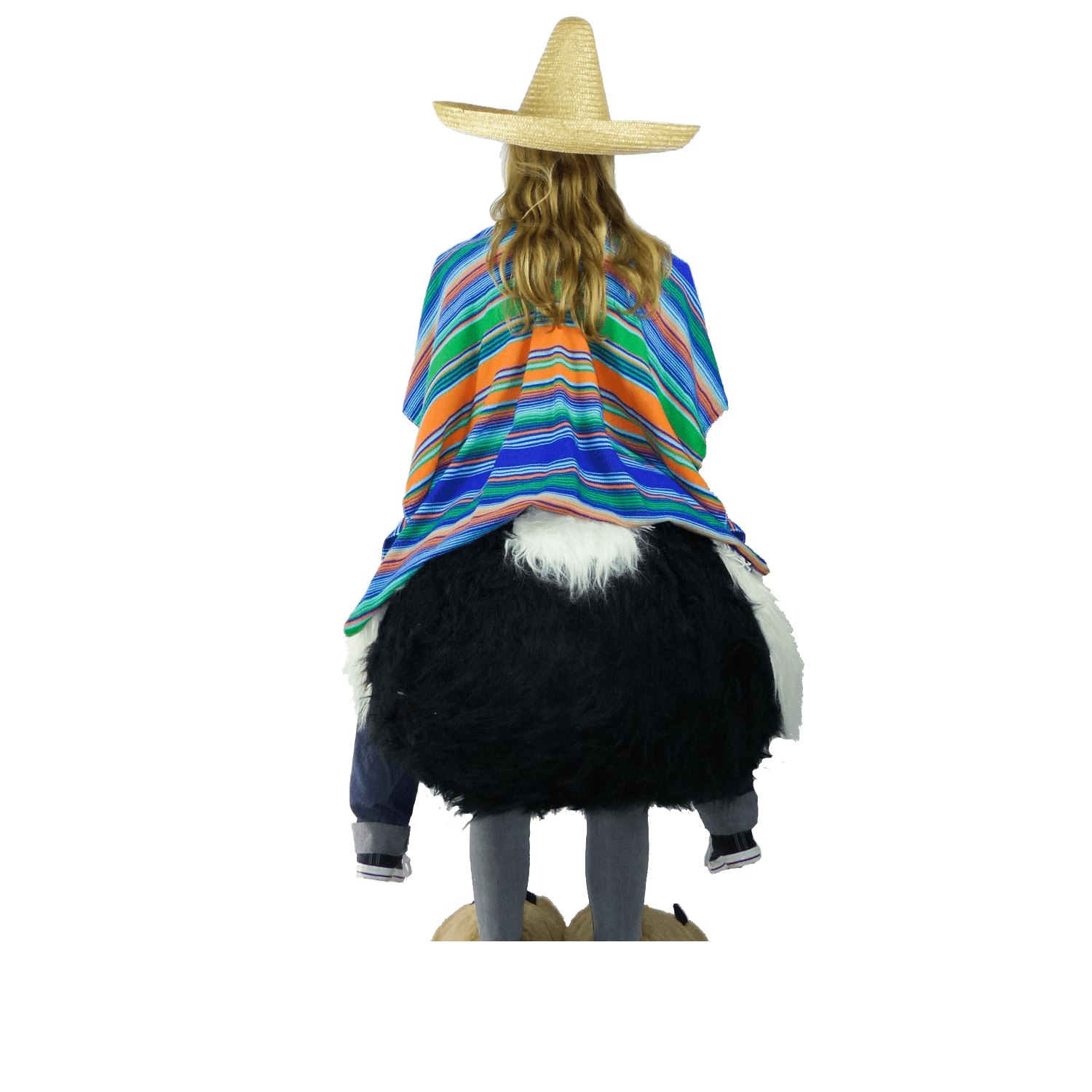 Struisvogelpak - Olivia de Struisvogel