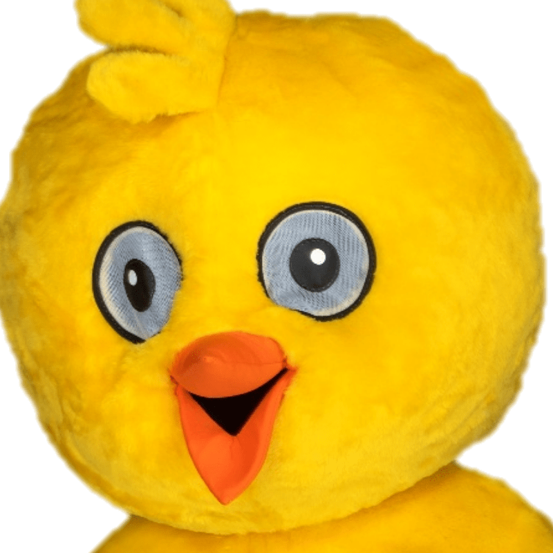 Kuikenpak - Jelle het Kuiken