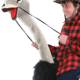 struisvogel mascotte