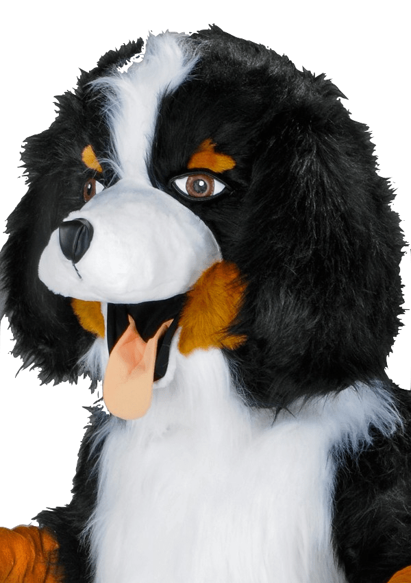 Hondenpak - Robbie de Hond