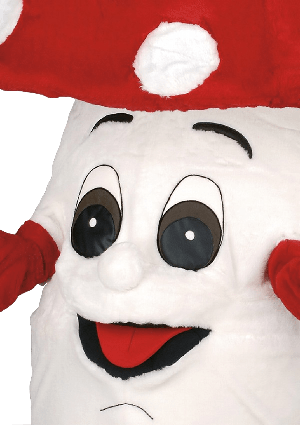 Paddenstoelenpak - Swammie de Paddestoel