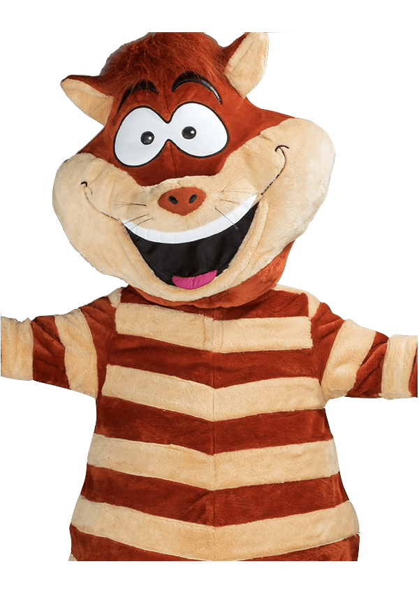 Kattenpak - Dinah de Streepjeskat