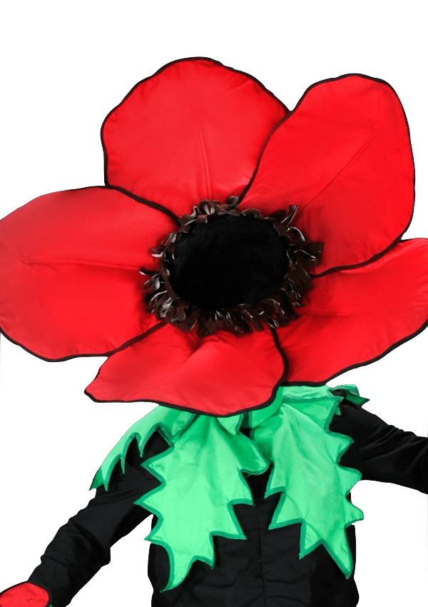 Bloemenpak - Madelief de dansende Bloem