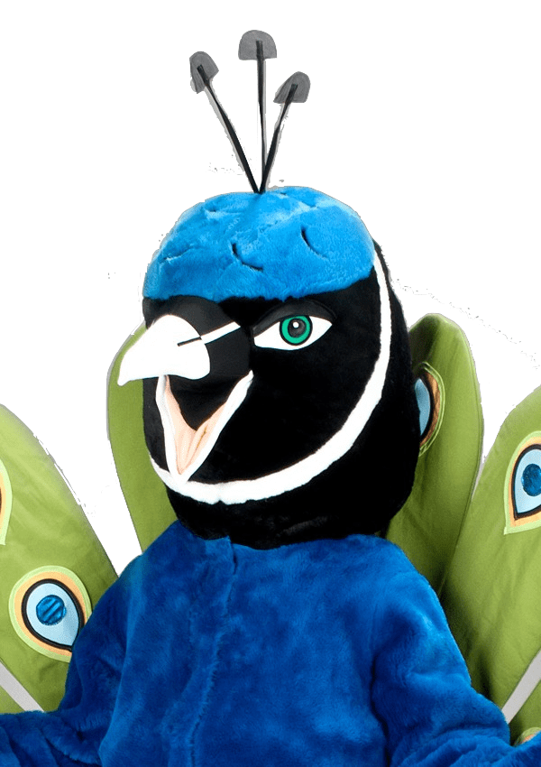 Pauwenpak - Pamela de Pauw