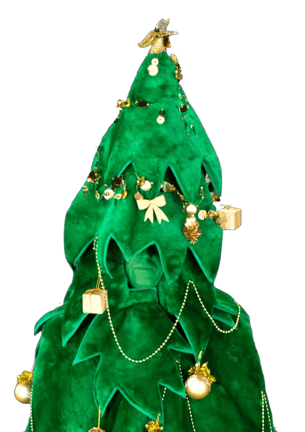 Kerstboompak - Ster de Kerstboom