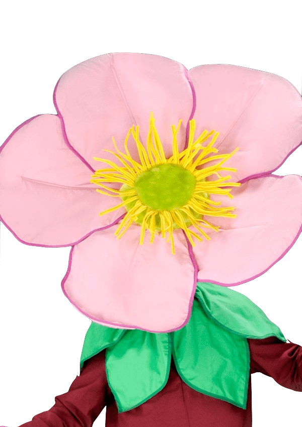 Bloemenpak - Daisy de dansende Bloem