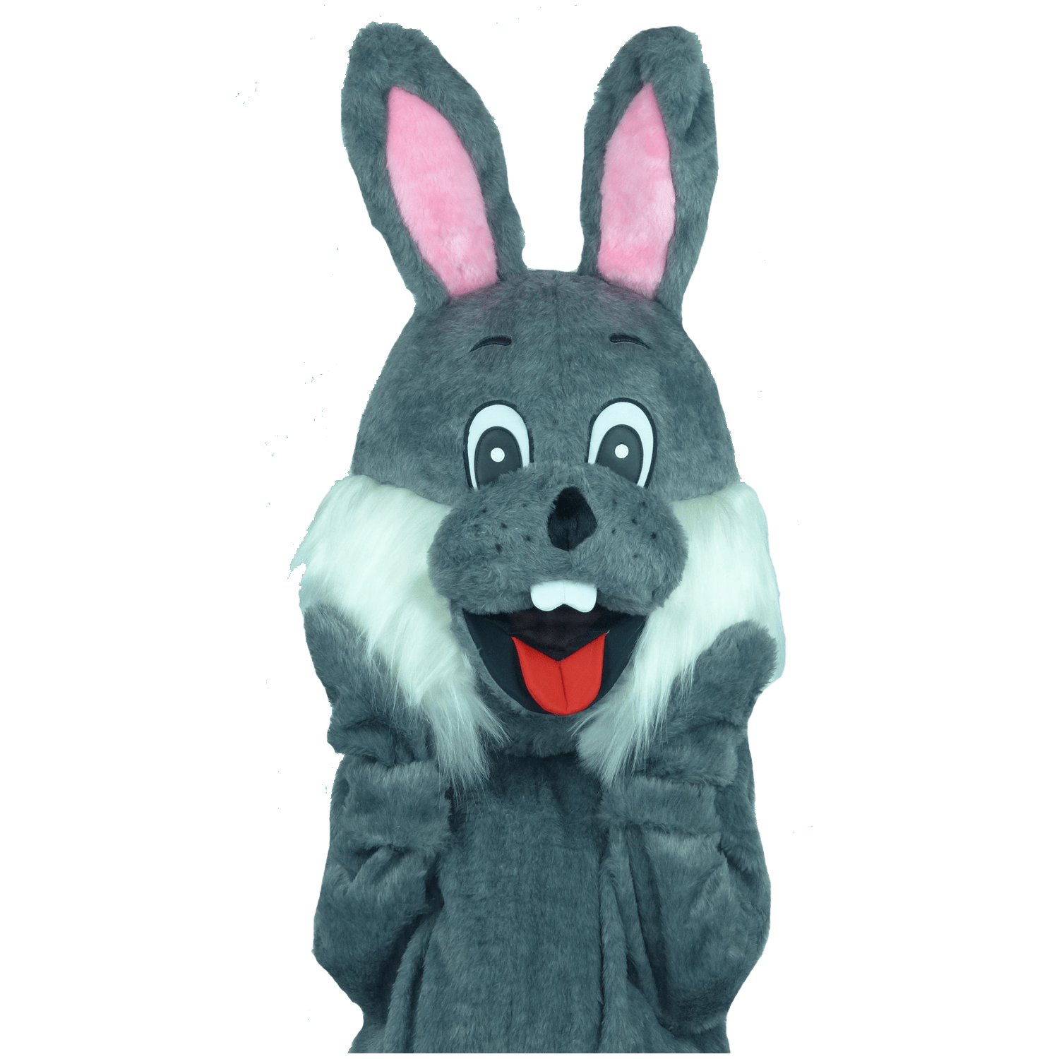 Paashaaspak - Menno de Paashaas (grijs)